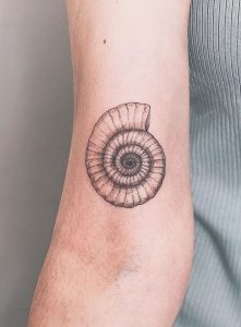 ammonite tattoos